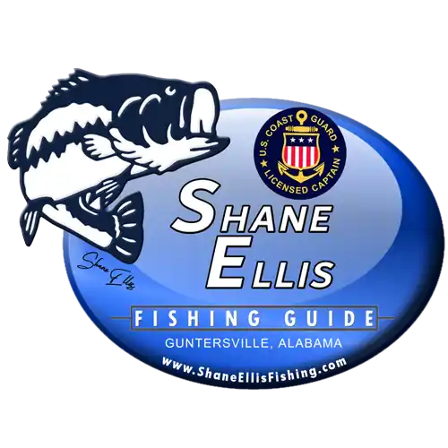 Bottom Land Construction